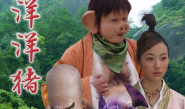 电视剧喜气洋洋猪八戒,奇幻旅程中的甜蜜冒险